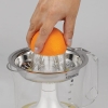 Kenwood Citrus Juicer 40W Juice Extractor with 1L Transparent Juice Jug Stainless Steel Filter Dust Cover 2 Way Rotation Cord Storage for Home Office Restaurant & Cafeteria JE290A