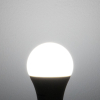 Tronic 25 Watts LED A6 Bulb B22 (Pin)