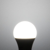 Tronic LED Bulb 5W Pin Type B22
