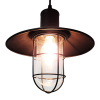 Tronic Black Vintage Pendant Glass Cage Light