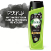 Vatika Strengthening Shampoo Black Olive 400ml