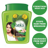 Vatika Hot Oil Treatment Hair Fall Control, Hammam Zaith With Cactus, for Breaking, Falling & Weak Hair, 1KG (Pack of 3)