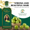 Dabur Amla Hair Oil for Healthy Hair and Moisturized Scalp, Indian Hair Oil for Men and Women 500ml (Pack of 6)
