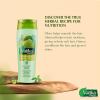 Vatika Shampoo Nourish and Protect, Rejuvenate Hair, Strengthening & Moisturizing Hair Cleanser for Curly Hair, Damaged Hair, All Hair Types 400ml with FREE CONDITIONER 200ml