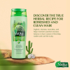 Vatika Shampoo Nourish and Rejuvenate Hair, Strengthening & Moisturizing Hair Cleanser for Curly Hair, Damaged Hair, All Hair Types 200ml