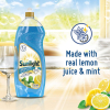 Sunlight Dish Washing Liquid Antibacterial 750ml Sparkling Clean, Eco-Friendly and Time-Saving 68665419 (Pack of 3Pcs)