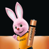 Duracell Alkaline Battery AAA 2Pcs Per Pack LR03/MN2400 (Pack of 12Pcs)
