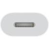 Apple USB-C to Lightning Adapter