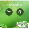 Dabur Herbal Germ Kill Toothpaste Aloe Vera 150g with Brush - Set of 3 Pcs