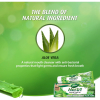 Dabur Herbal Germ Kill Toothpaste Aloe Vera 150g with Brush - Set of 3 Pcs