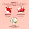Vatika Oil Fusion Color Kit With Nourishing Hibiscus Oil, Hair Dye With Hibiscus, Pomegranat Garlic, 100% Grey Coverage, Intense Red 6.6 - Set of 3 Pcs