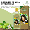 Dabur Amla Jasmine Hair Oil for Healthy Hair and Moisturized Scalp, Indian Hair Oil for Men and Women, Hair Strengthening 200ml - Set of 3 Pcs