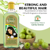 Dabur Amla Jasmine Hair Oil for Healthy Hair and Moisturized Scalp, Indian Hair Oil for Men and Women, Hair Strengthening 200ml - Set of 3 Pcs