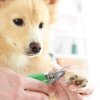 Wahl Animal Curved Nail Clipper 858455-016