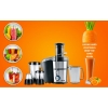 Nikai Juicer Extractor 2l 4 in 1 Juicer Blender Mixer Grinder 800W NFP881G 2 Speed With Pulse Function With Glass Jars Stainless Steel Housing Filter And Blade