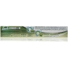 Dabur Herbal Germ Kill Toothpaste Aloe Vera 150g with Brush - Set of 3 Pcs