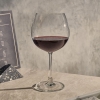 Ocean Wine Glass 2pcs Madison Burgundy 650ml Fine Rim Stemware 3015d2202g0003