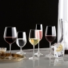 Ocean Wine Glass 2pcs Madison Burgundy 650ml Fine Rim Stemware 3015d2202g0003