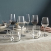 Ocean Wine Glass 2pc Lexington Red Wine 315ml Fine Rim Stemware 3019r1102g0003