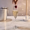 Ocean Wine Glass 2pcs Sante Flute Champagne 210ml Fine Rim 3026f0702g0003