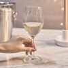 Ocean Wine Glass 2pcs Sante White Wine 340ml Fine Rim Stemware 3026w1202g0003