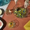 Ocean Reya Glass Bowl 5" – Elegant Clear Glass Serving Bowl for Desserts, Fruits & Salads 1P03420