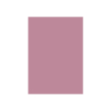 Special Colour Manilla Sheet A4 160gsm 100 Sheets Pink P06944